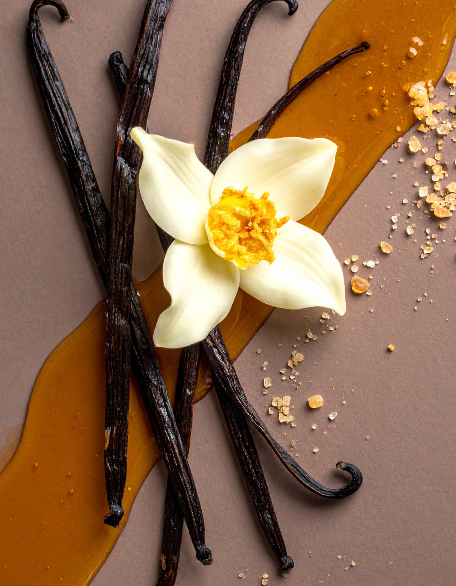 vanilla honey perfume oil