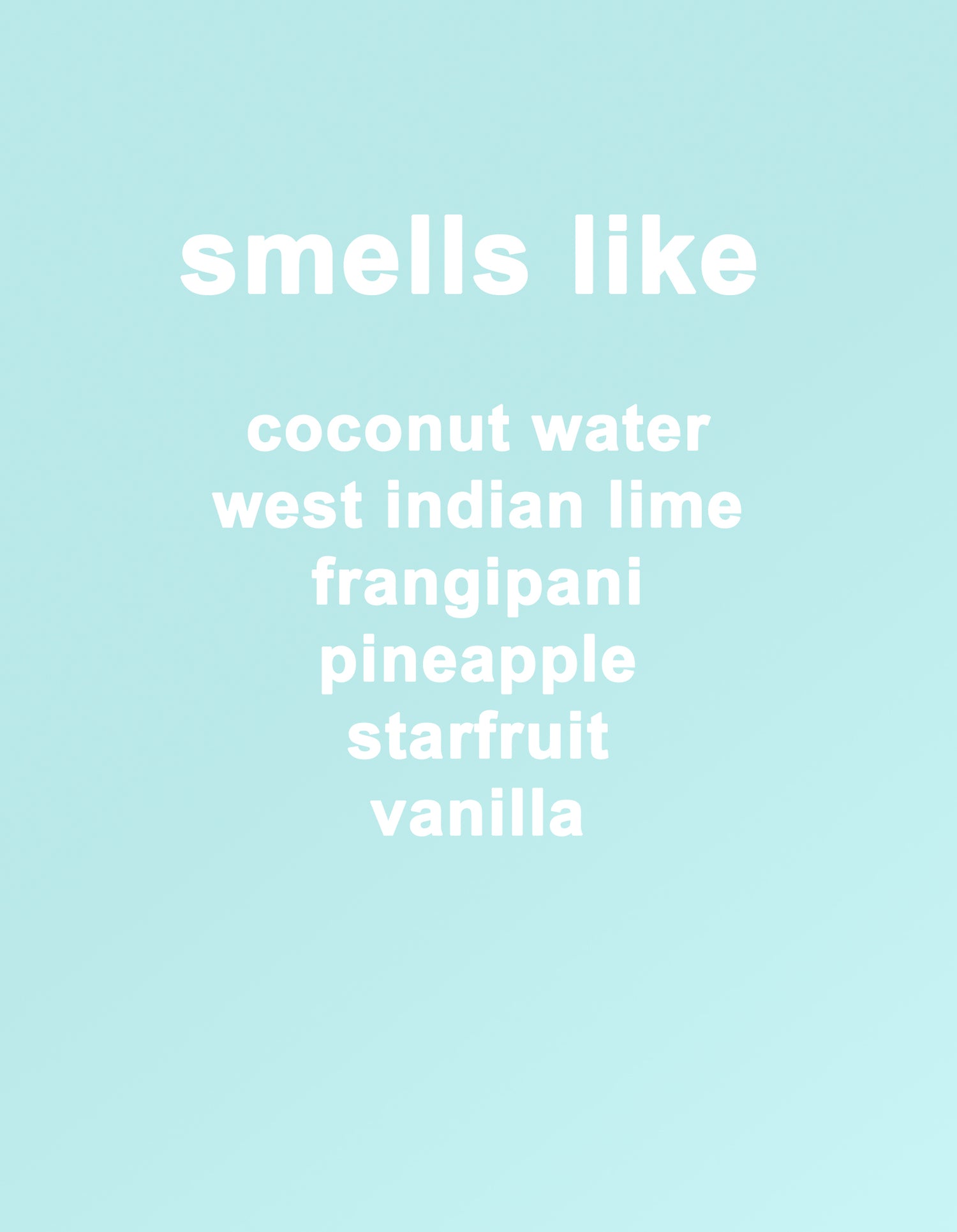 beach day eau de parfum