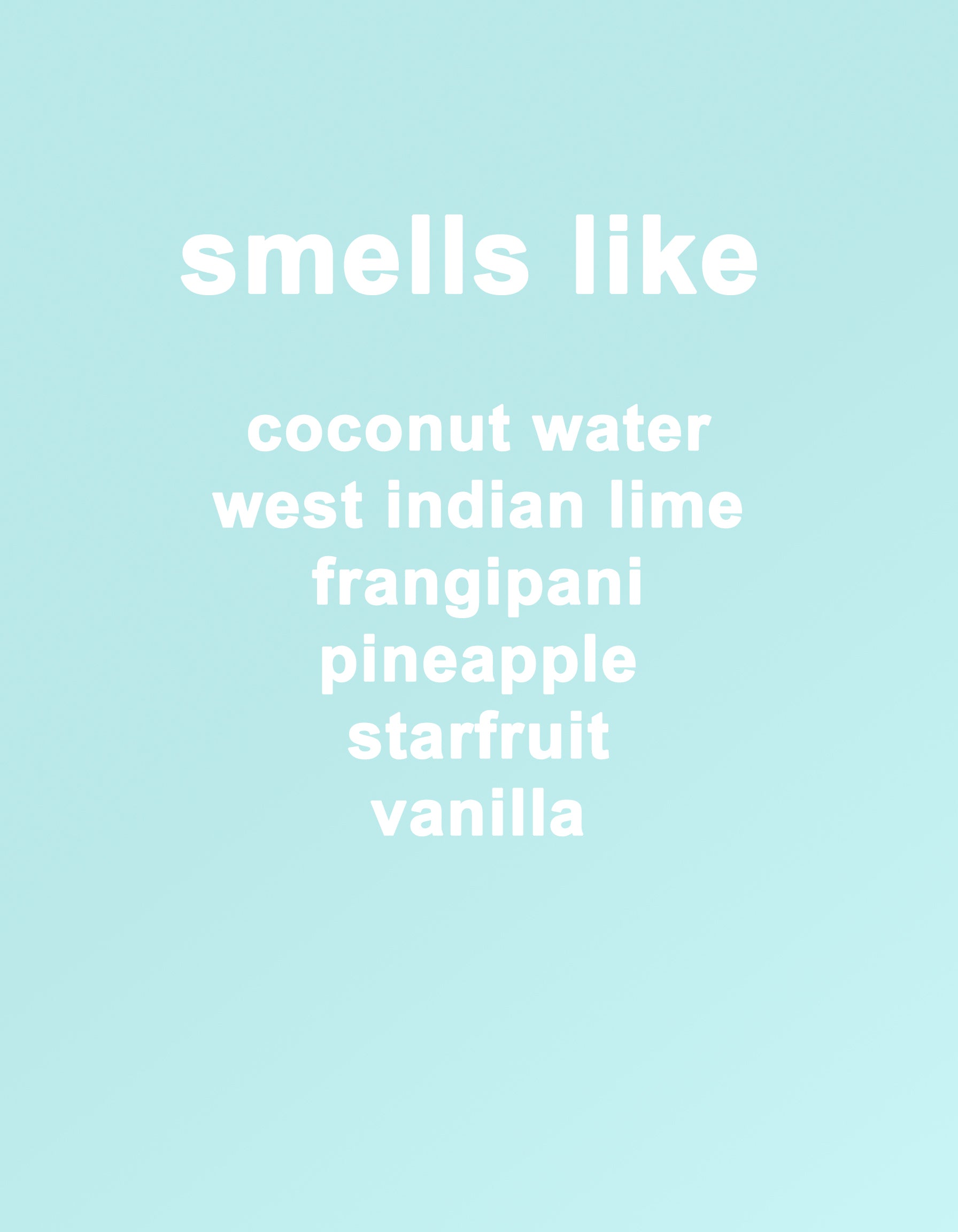 beach day eau de parfum